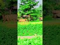 ઇન્દ્રોડા પાર્ક ગાંધીનગર | Indroda park Gandhinagar Gujarati trekkar #indrodapark #gandhinagar