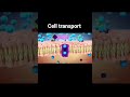 Cell transport #physiology #cellbiology #viral #biology #science #grow #yt #explore #fyp #neet