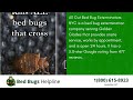 Top 3 Bed Bug Removal Companies in Golden Glades