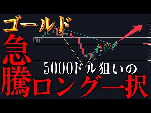 ゴールド急騰間近！？5000ドル狙いのロング一択相場到来！【XAUUSD分析,FX,トレード,金】