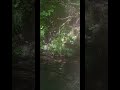 飛込み指南 オリーブ通信