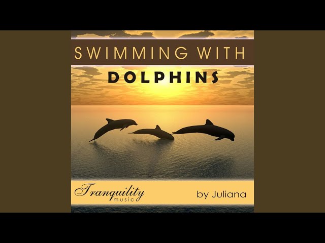 Llewellyn - Swim With Dolphins