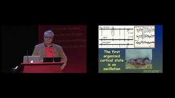 Dr Gyorgy Buzsaki  @ YorkU/Gairdner Symposium Neural Plasticity: Synapses to circuits