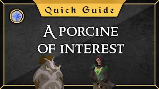 [Quest guide] A porcine of interest