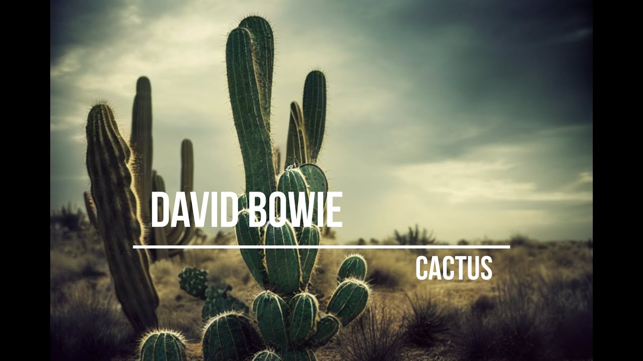 David Bowie Cactus (lyrics video with AI generated images) YouTube