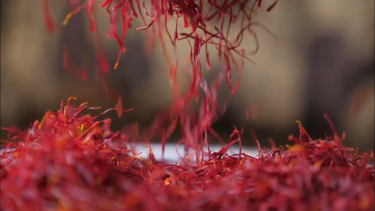 Saffron Filaments falling YouTube