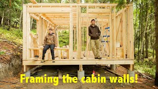 Framing and raising the walls of our cabin in the woods of Cariboo, BC  Cariboo Adventure Vlog #12