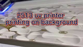 2513 uv printer machine for printing on background