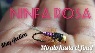 Ninfa Rosa / una mosca 100% efectiva    míralo hasta el final