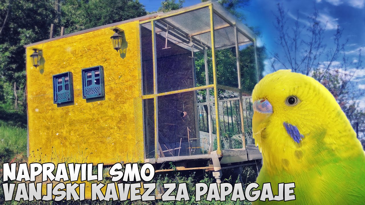 Uradi sam Volijeru za Tigrice u Bašti