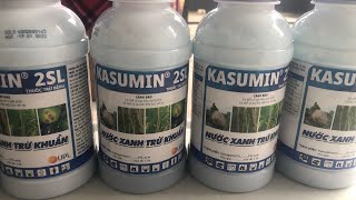 KASUMIN 2SL PHÒNG NGỪA HIỆU QUẢ VI KHUẨN HẠI LÚA MỚI NHẤT. LH: 0377878966
