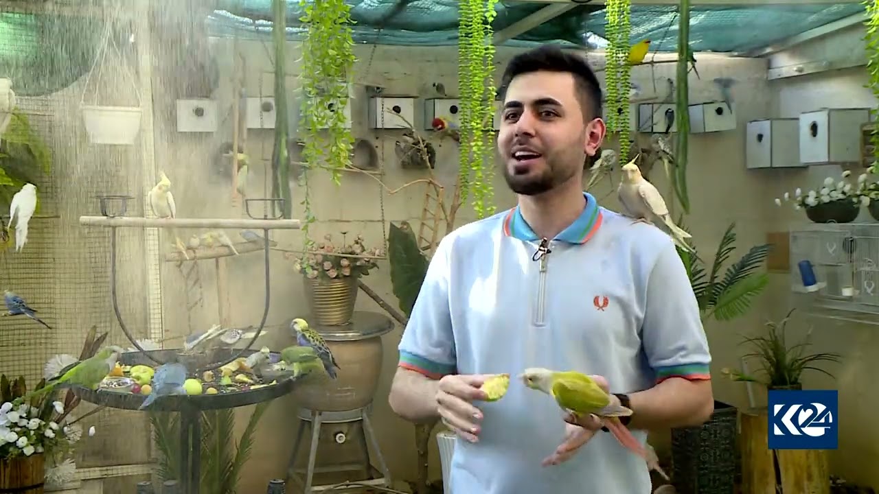 گەنجێک 150 باڵندە بەخێو دەکات کە زیاتر لە 20 جۆرن