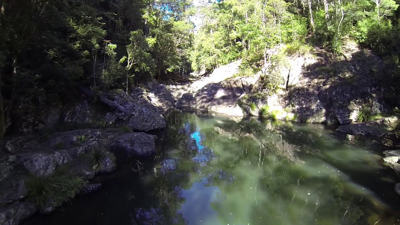 austinville little fly