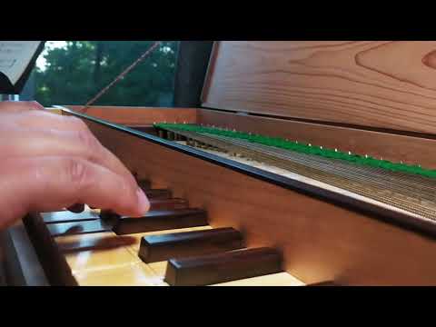 Passo e Mezo, Anon XVI Century (Felipe Dominguez, clavichord)