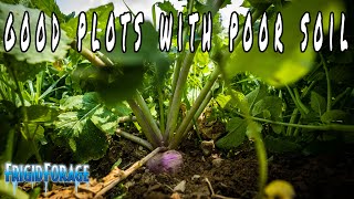 Growing good plots in poor soils.