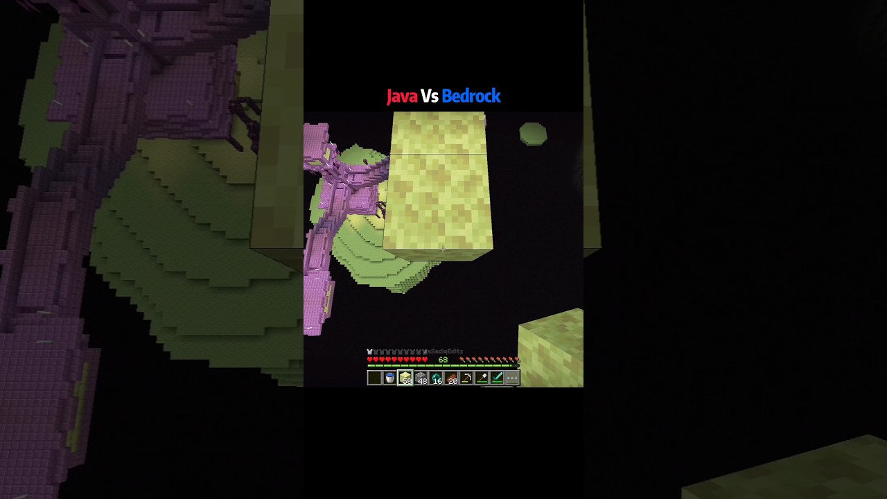 Minecraft Java Vs Bedrock Moments