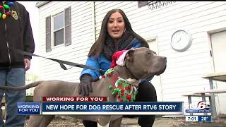 Shelby Co. rescue that saves dogs from being euthanized saved by community donations