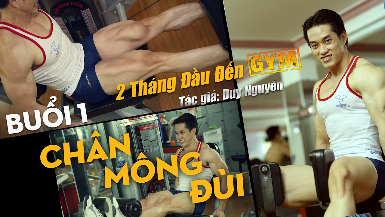 Hướng dẫn tập thể hình căn bản dành cho gymer mới |... - youtube