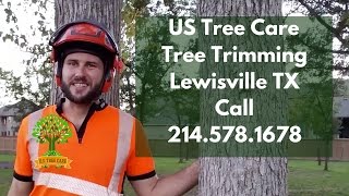 Lewisville Tx Tree Trimming Tree Pruning 214.578.1678 Us Tree Care