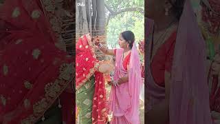 #vat Savitri puja 🌳🙏