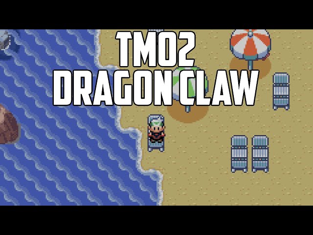 Celso×Yellow Moon×Dragon Claw Sporeling③ TSA Citrus Blast Grafted Lithophyllon Coral – Top Shelf Aquatics