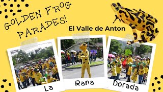 La Rana Dorado (Golden Frog) Celebration in El Valle, Panama!