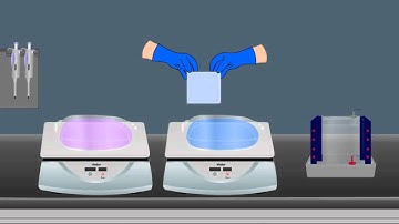 Bacterial Proteomics