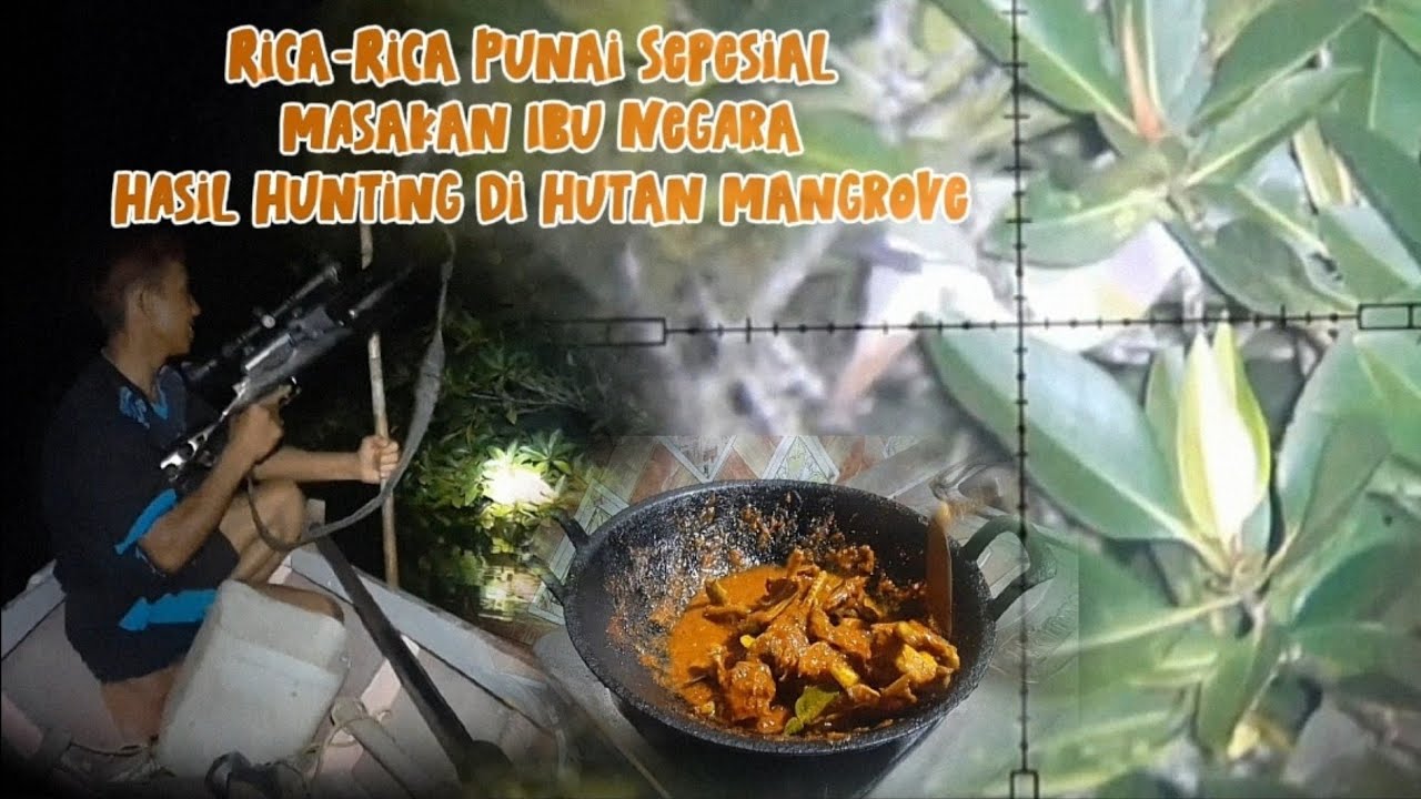 Hunting Dan Mukbank Burung Punai Di Hutan Mangrove(Mang Boy channel)