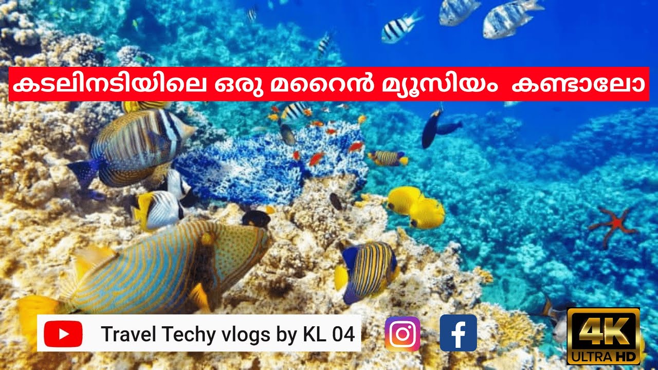 Underwater world Malayalam vlog YouTube