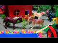 😍cow videos funny, bommalu, abcd, Diy tractor, tractor, cattle, tractor video May 1, 202610:36 AM