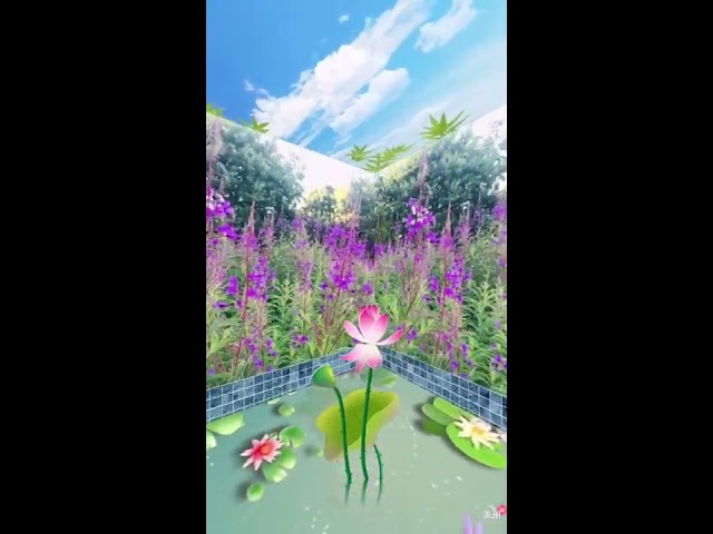 You must share this beautiful flower and music ：美丽鲜花，美妙音乐】 class=