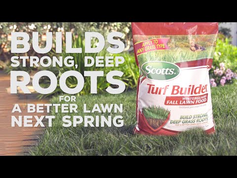 When To Apply Scotts Fall Lawn Fertilizer