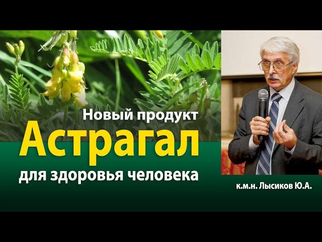 #Астрагал #иммунитет