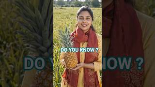 Ananas comosus 🍍Do you know ? #Pineapple #Ananas comosus #examstips #
