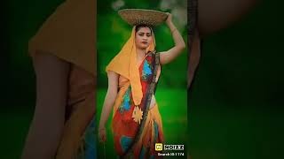Nai Jhulani Ke Chhaiya Balam Duphariya Bitai short tarzan new song love