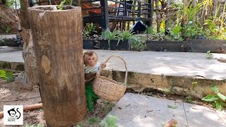 Ricky Does Not Want To Help With Work And Hides Near The Tree For His Mother To Find.