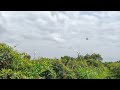 So satisfying video,oddly satisfying video of Earth 🌍