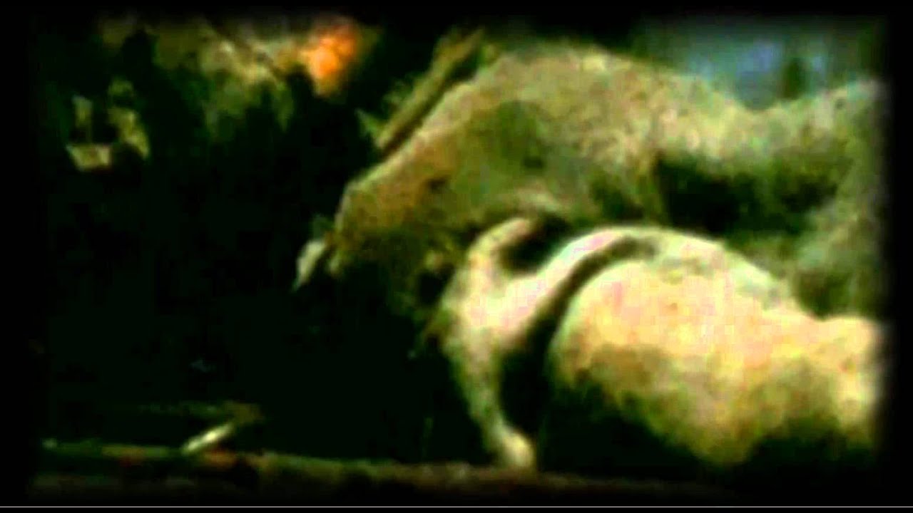 Sober Meytal metal wall art