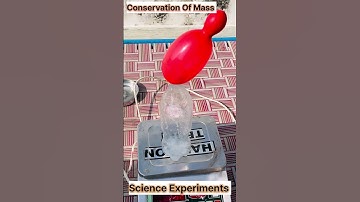 Conservation Of MASS Experiment 💡|| Science Experiment #experiment #scienceexperiment
