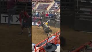Download Lagu Bull rider gets thrown, stomped on at Pa. Farm Show MP3