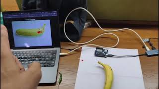FreshSort: AI Produce Grading by Team_GradeX | AI Hardware Buildathon