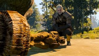 Celebrity Geralt Dispute with Students: Defender of the Faith. Both options (Witcher 3 | Quest) Profile