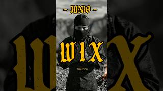 WIX - Traidor "Xewí ne meteyuri" #huichol #raíces #wix #mexico #wixarika