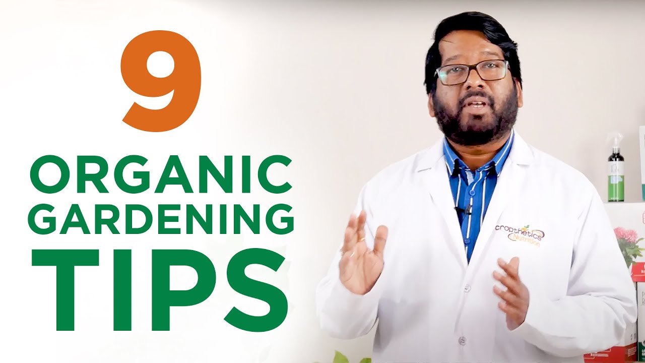 9 Tips for Successful Organic Gardening | Home Gardening for Beginners ...