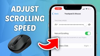 How to Adjust Mouse Scrolling Speed on iPhone or iPad