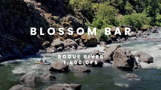 Three Great Blossom Bar Lines at 1600 CFS | Rogue River