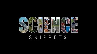 Science Snippets: Boating Safety Equipment