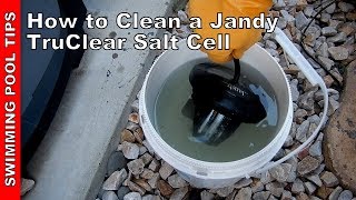 How to Clean a Jandy TruClear Salt Cell A Step by Step Video Guide