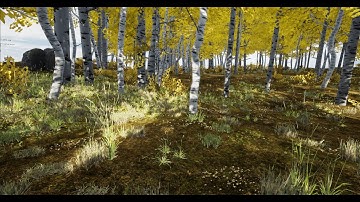 My Very  First Environment Landscape in UE4