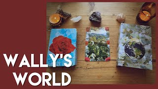 Wally’s World Oracle- Walkthrough and Sample Reading